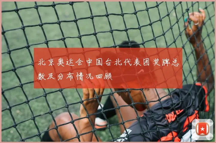 北京奥运会中国台北代表团奖牌总数及分布情况回顾