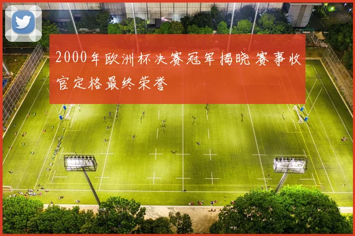 2000年欧洲杯决赛冠军揭晓 赛事收官定格最终荣誉
