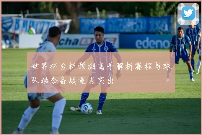 世界杯分析预测高手解析赛程与球队动态备战重点突出
