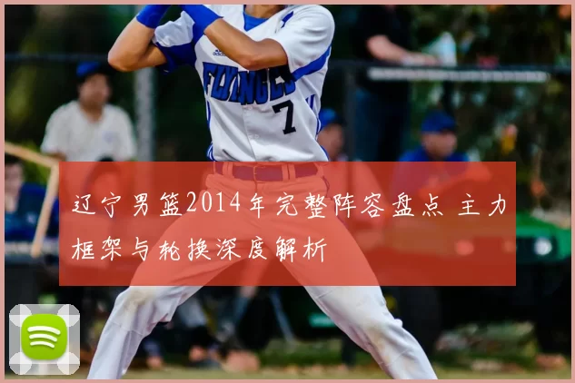 辽宁男篮2014年完整阵容盘点 主力框架与轮换深度解析