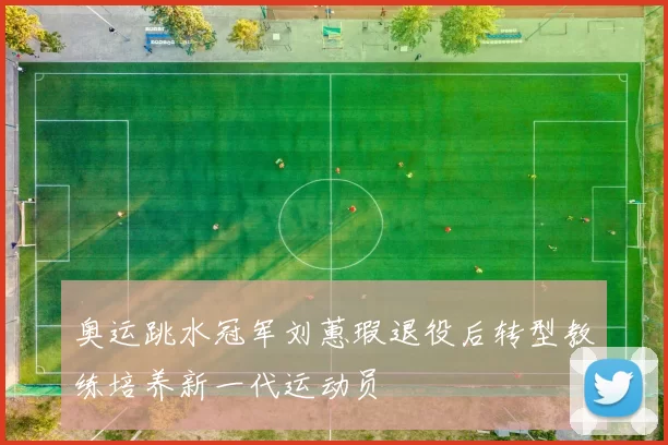 奥运跳水冠军刘蕙瑕退役后转型教练培养新一代运动员